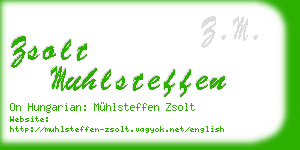 zsolt muhlsteffen business card